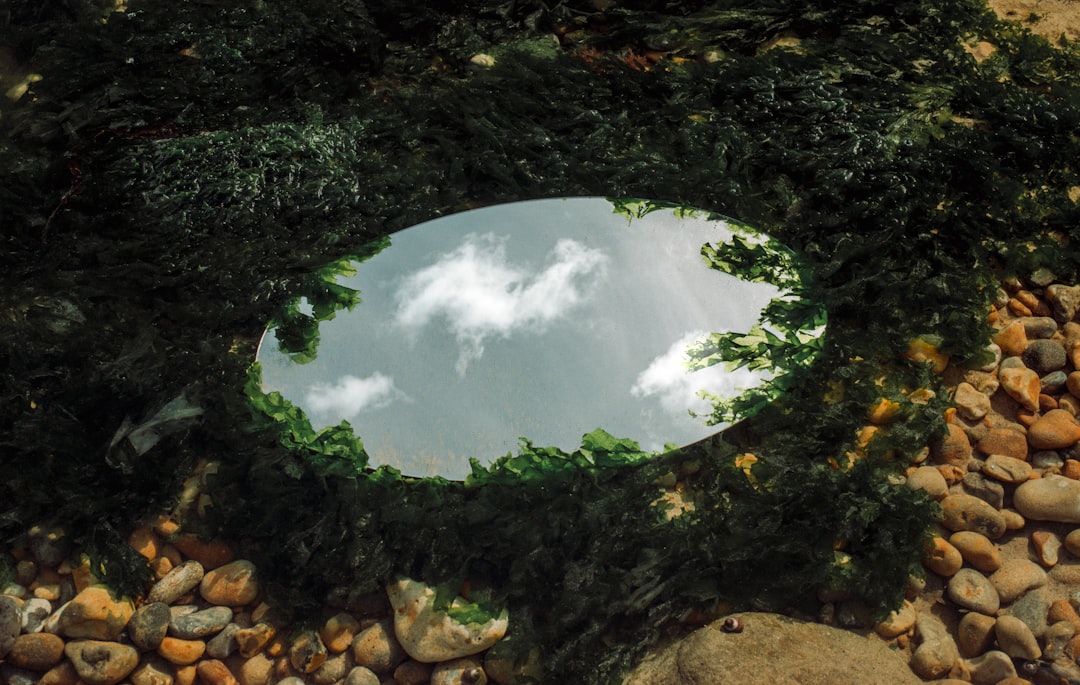 Slimme spiegeltuinen: reflecterende ontwerpen voor kleine ruimtes