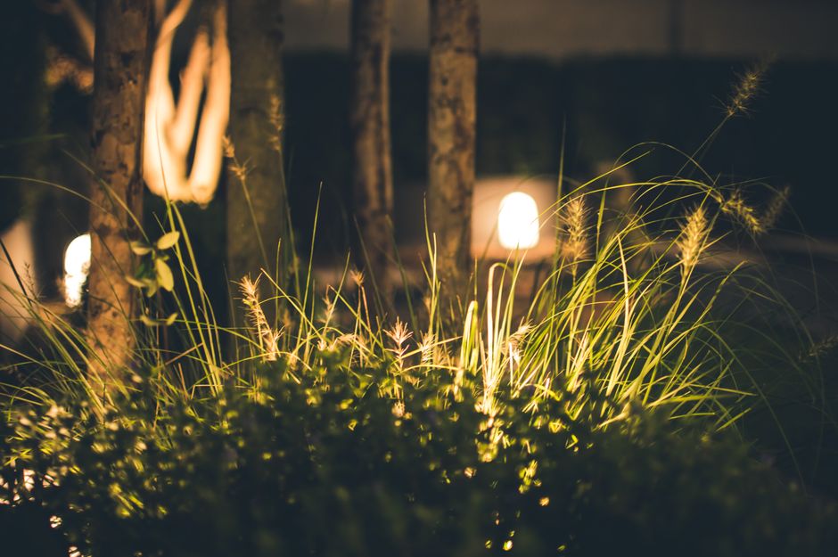 Energiezuinige lampen langs een tuinpad.