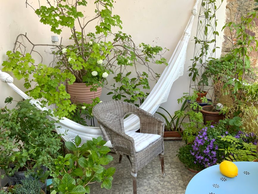 Herfstkleuren van heideplanten op klein balkon. Herfstkleuren van heideplanten op klein balkon.