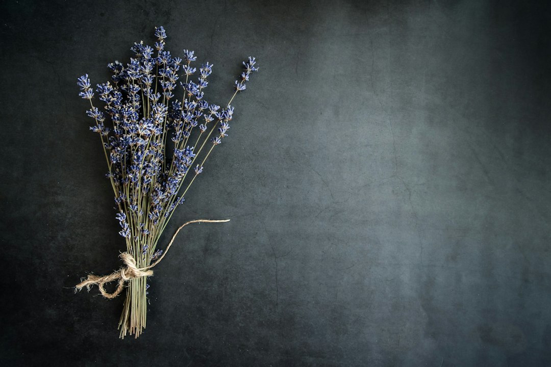 De kracht van lavendel: stressvrije hoekjes in je huis creëren