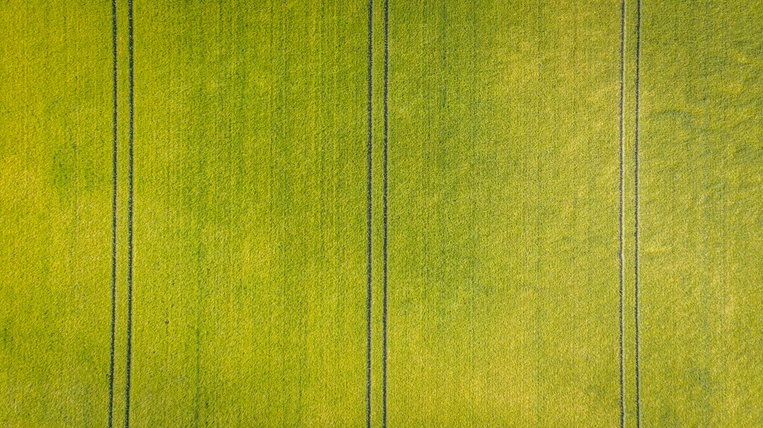 Groene gordijnen als duurzame keuze: stijl en milieu hand in hand
